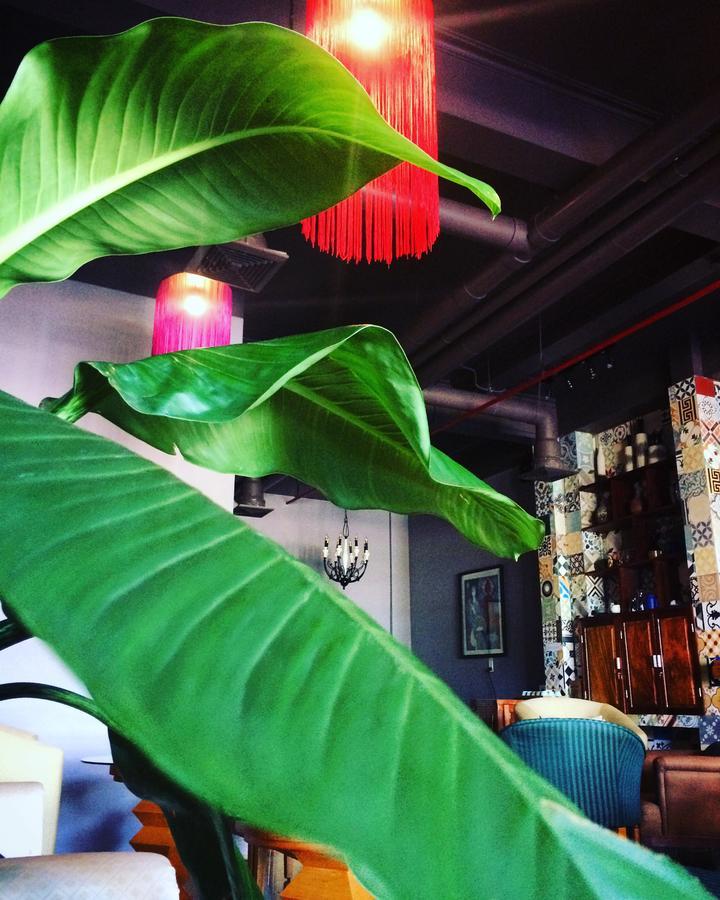 Geminai Hotel&Café Ðồng Hới Buitenkant foto